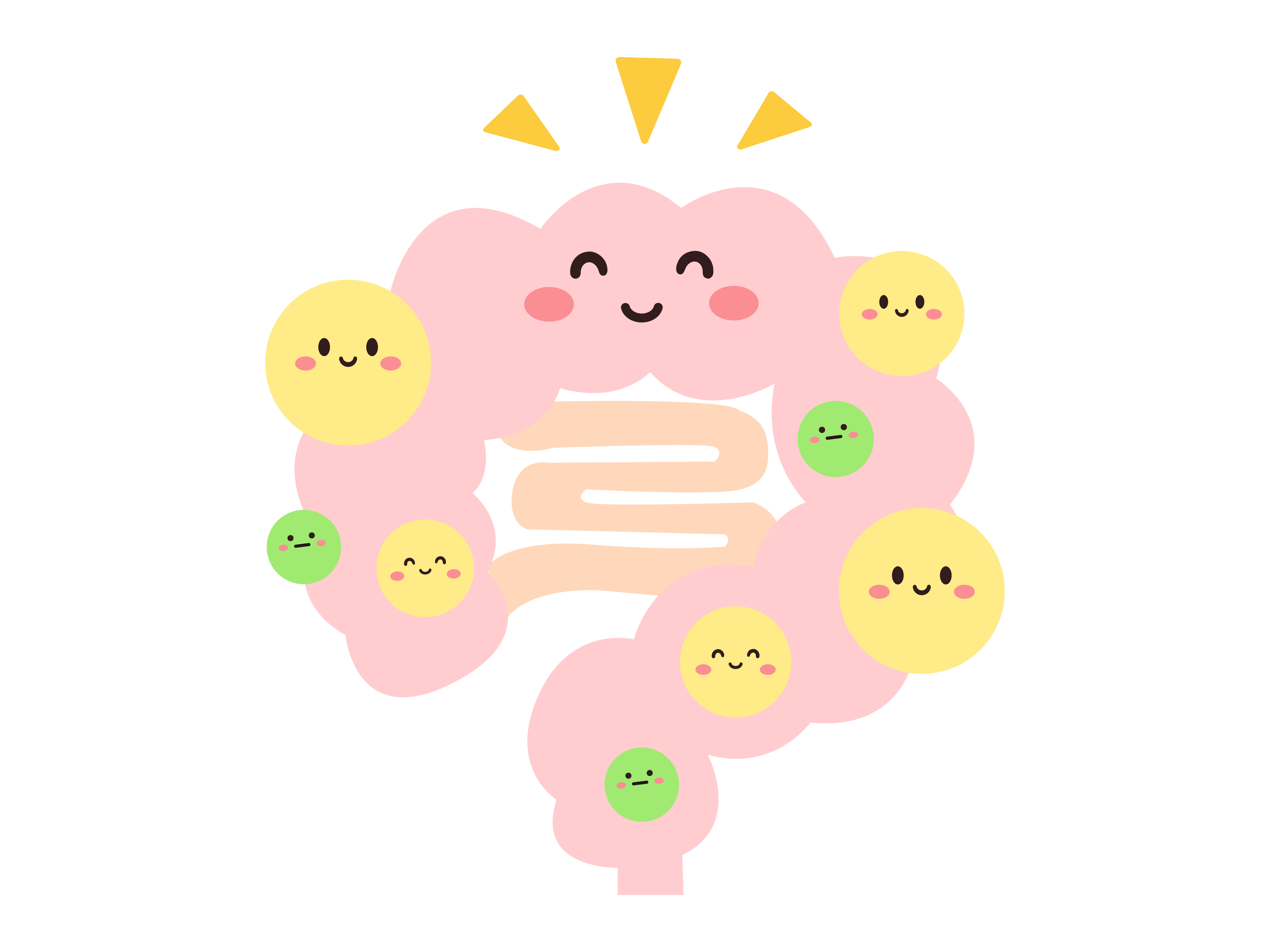 太りやすさは意志の問題じゃない——腸内細菌が脂肪を作り、メタボを促進するメカニズム