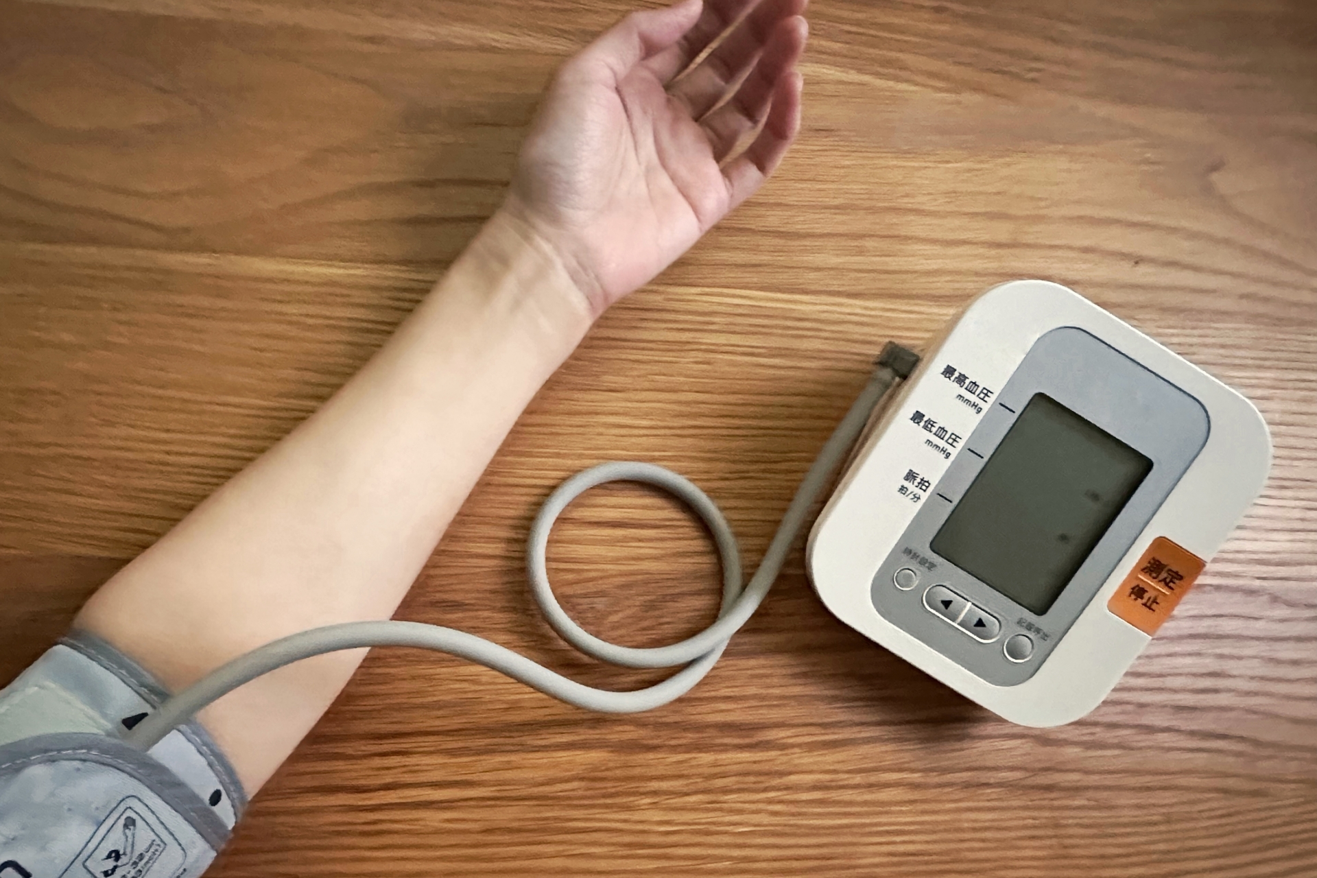 動脈硬化は「コレステロールのせい」だけではなかった。血管を守るマグネシウム・オメガ3・ビタミンK2の生化学