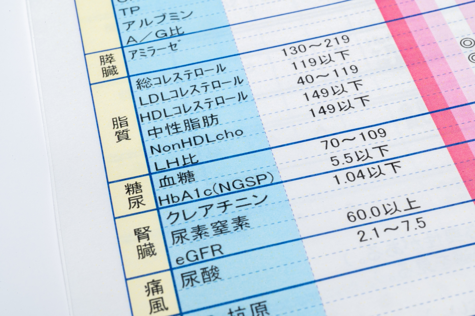 血液検査の結果票——「基準値内」でも機能的な不足がある場合がある