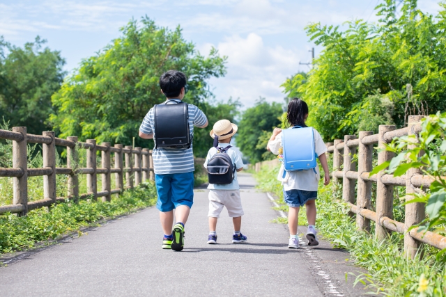 子供の「集中できない・落ち着かない・成長が遅い」は栄養不足かもしれない|亜鉛・鉄・DHAの役割を分子栄養学で解説