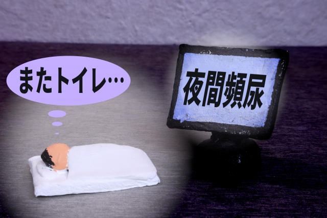 夜中に何度もトイレで目が覚める「夜間頻尿」——眠りを守るために、水分・塩分・血糖から整える分子栄養学