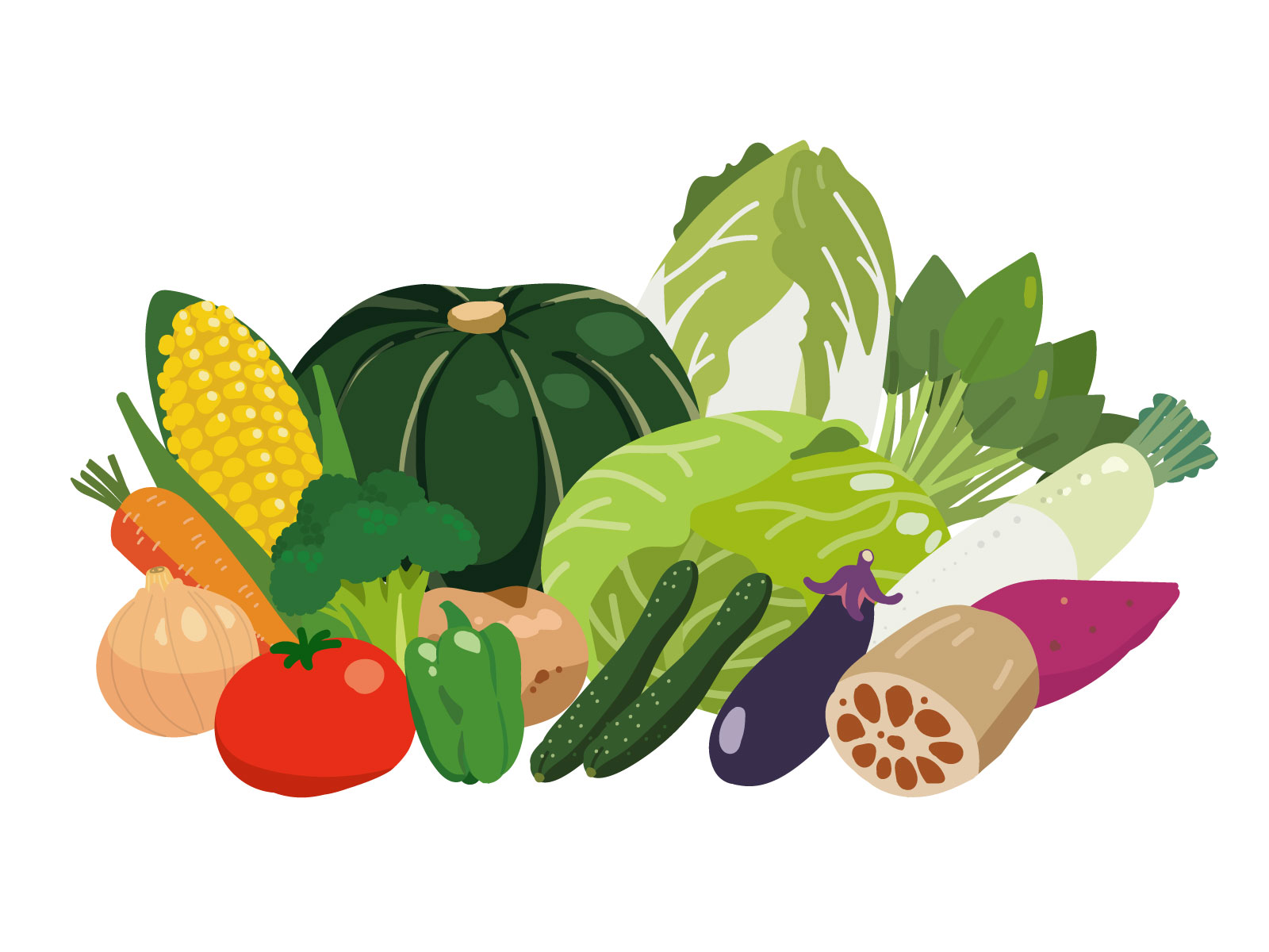 【分子栄養学】便秘は食物繊維で治らない——マグネシウム・胆汁酸・ビタミンCの生化学