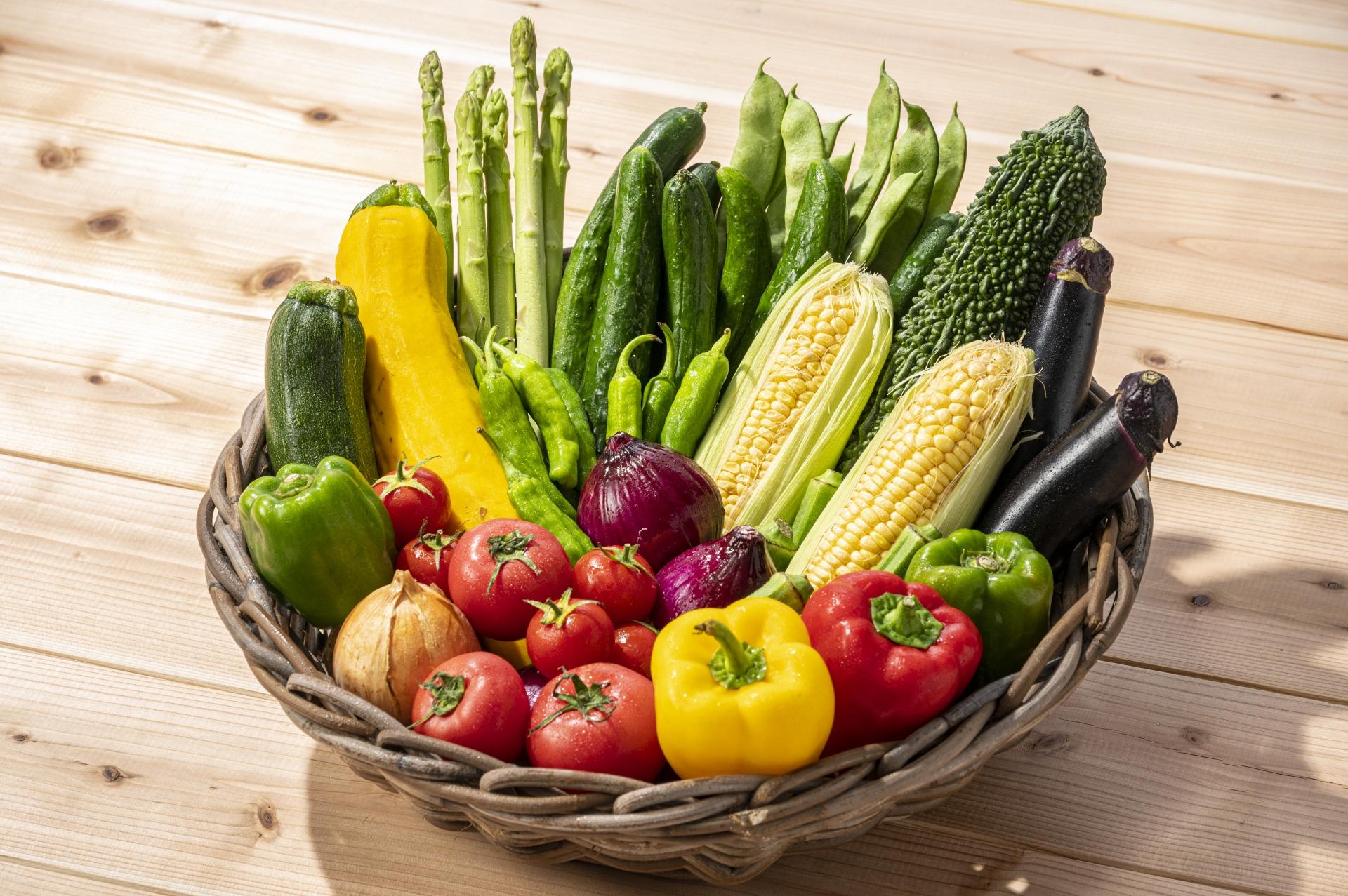 青汁は効くの?——「飲めば健康」ではない。野菜不足の“補助”としての正しい使い方と選び方