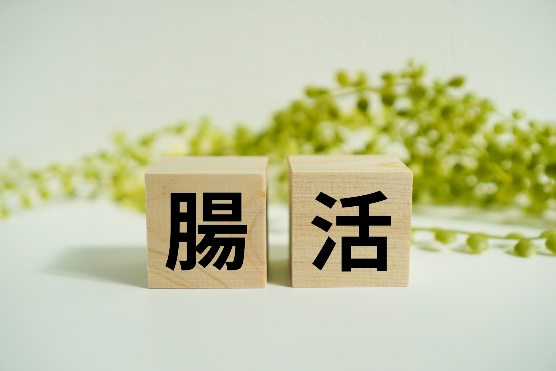 腸内フローラが乱れる本当の理由。マグネシウム・ビタミンD・オメガ3で腸内細菌を整える分子栄養学