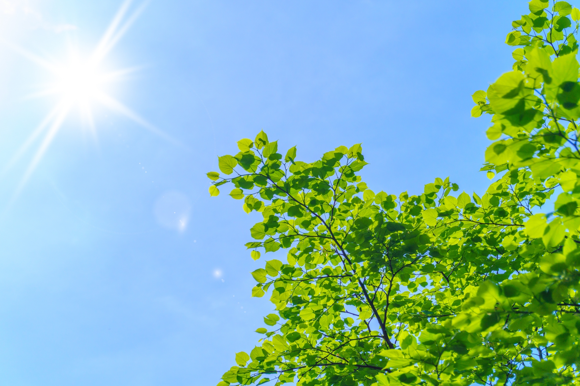 熱中症になったらどこを冷やす?正しいアイシングと氷嚢・氷枕の使い方