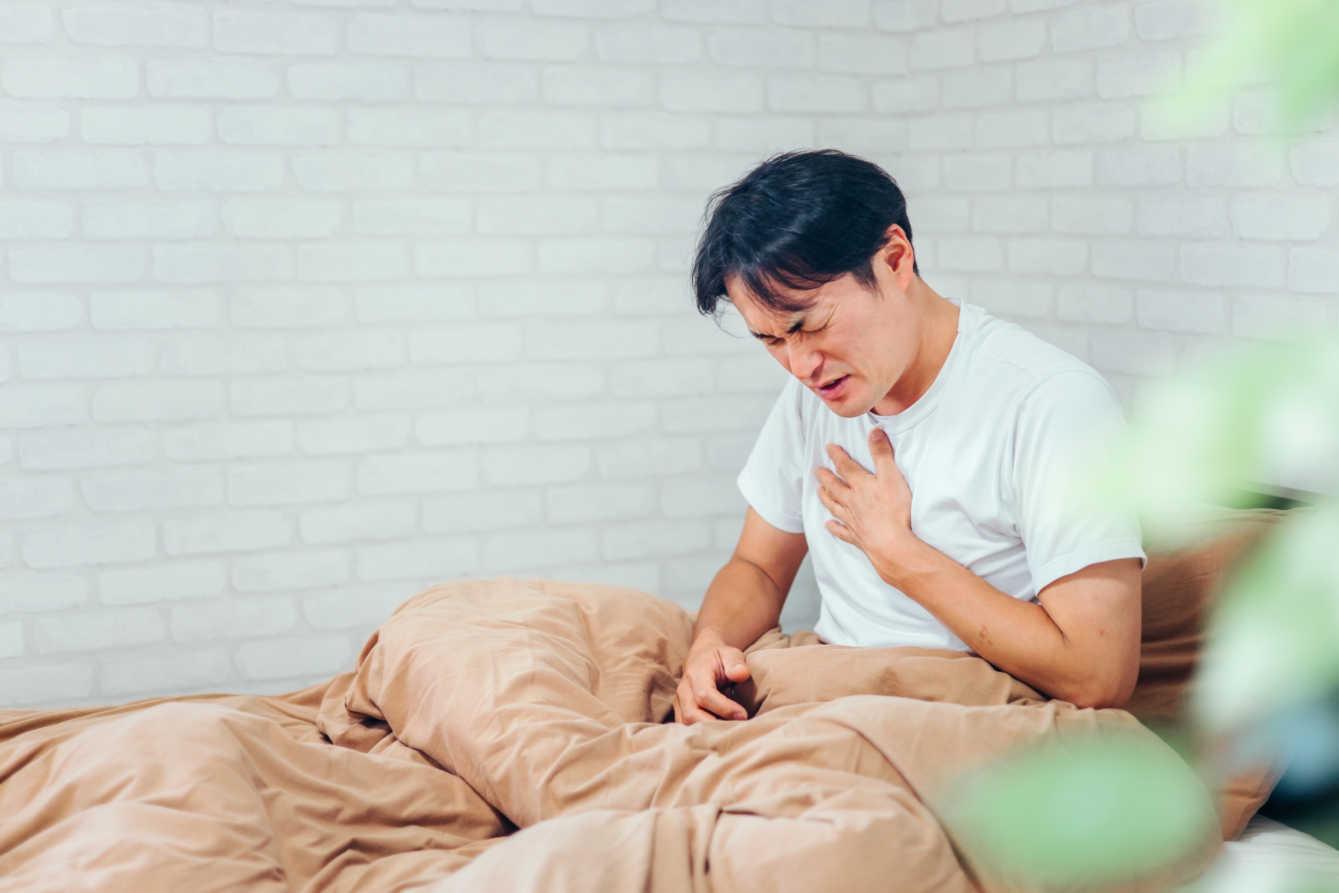 【生化学】心臓を動かす「マグネシウム」の真実。突然死を防ぐ細胞環境のデザイン