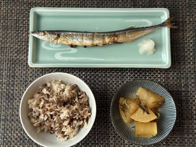 神経修復の分子栄養学|末梢神経の再生を加速させるビタミンB群の役割