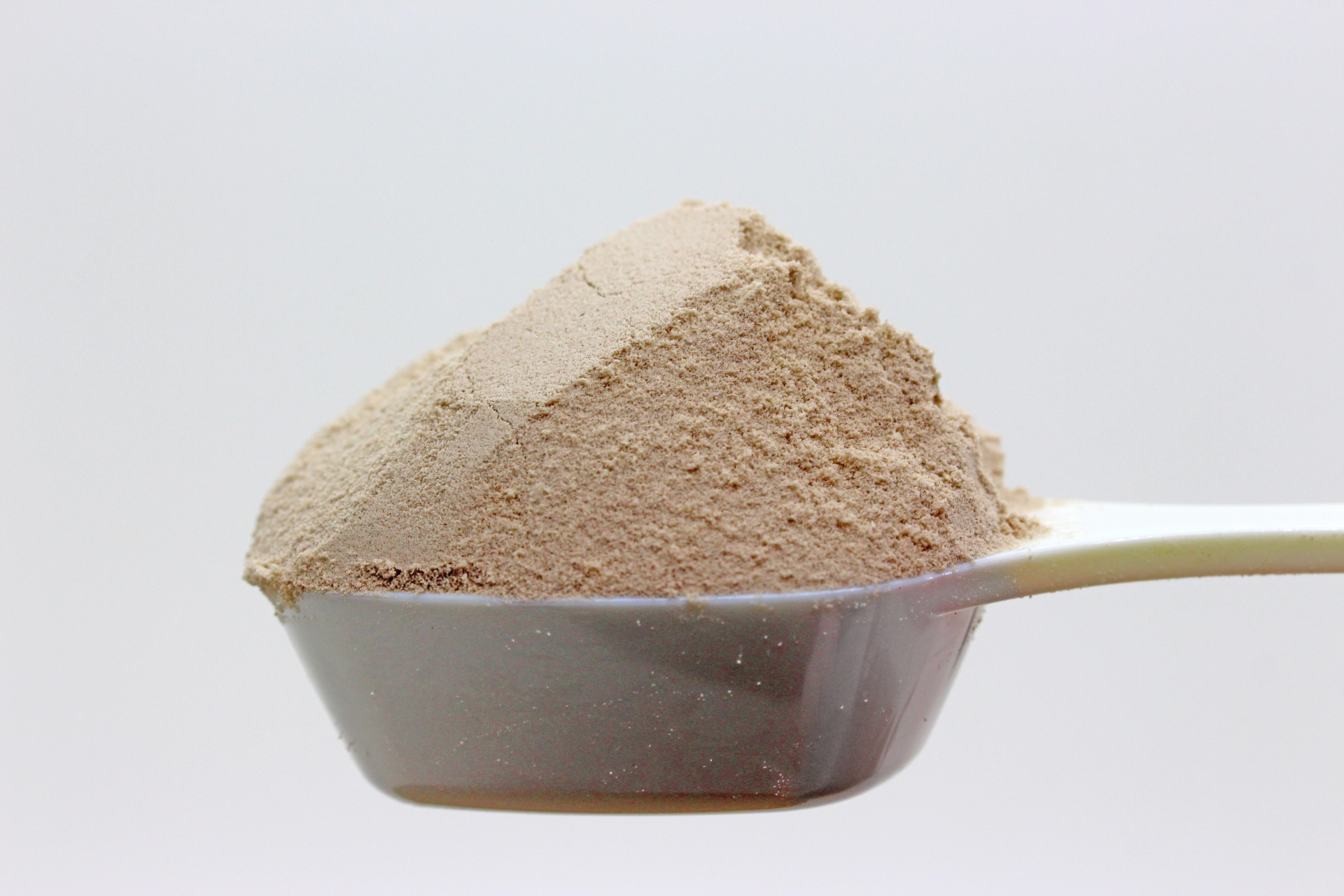 プロテインの正しい飲み方|量・タイミング・選び方を分子栄養学で完全解説