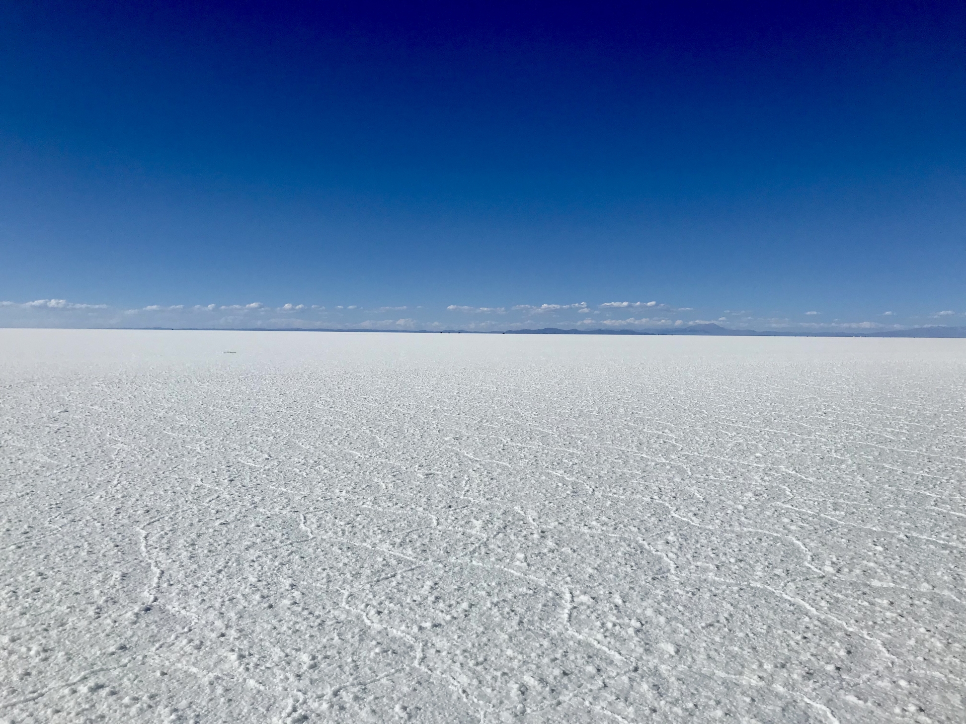 精製塩 vs ぬちまーす・雪塩|ミネラルスペクトラムが細胞のATPポンプ効率を変える