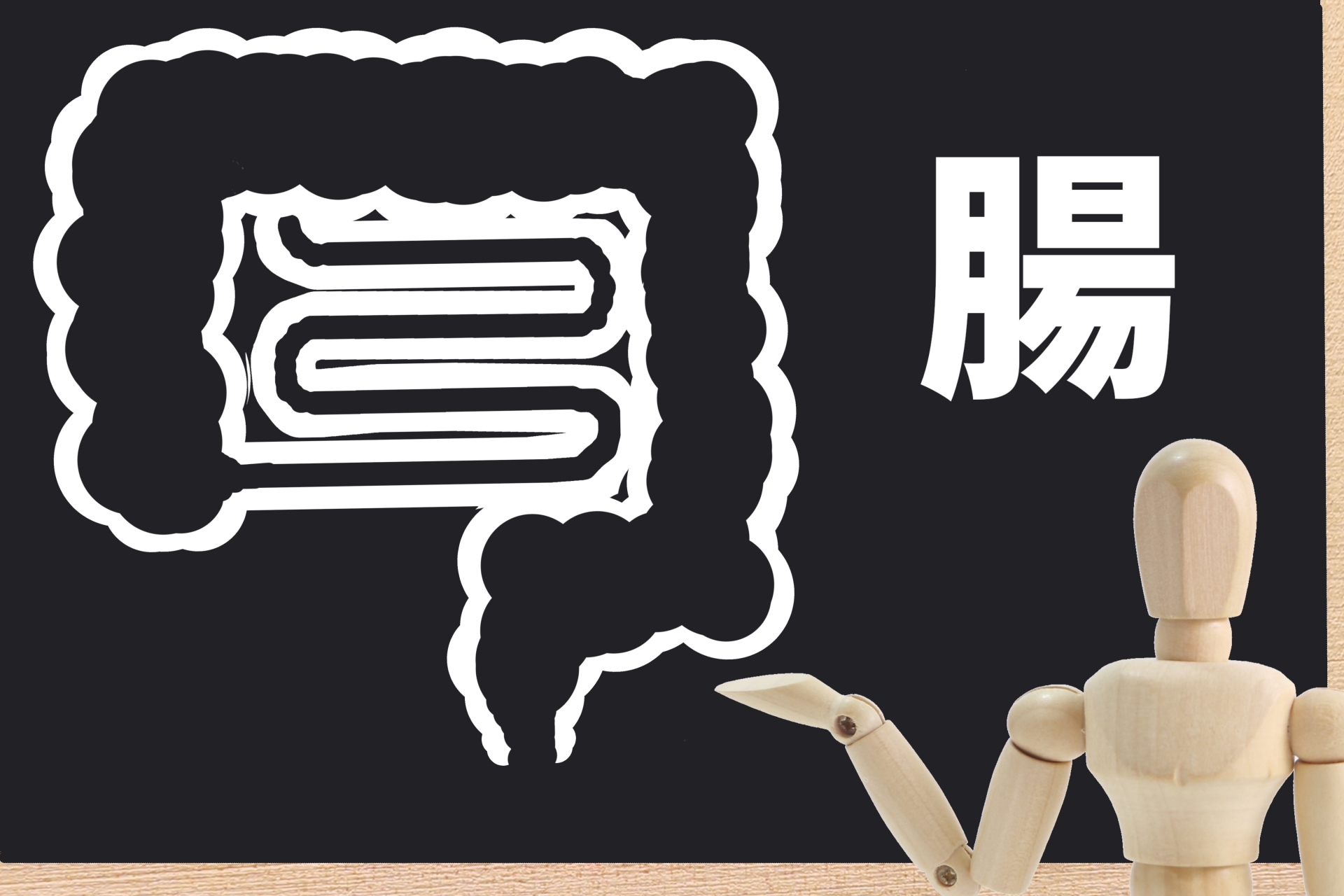 SIBO(小腸内細菌異常増殖症)|お腹の張り・ガス・食後すぐの不調を分子栄養学から整える